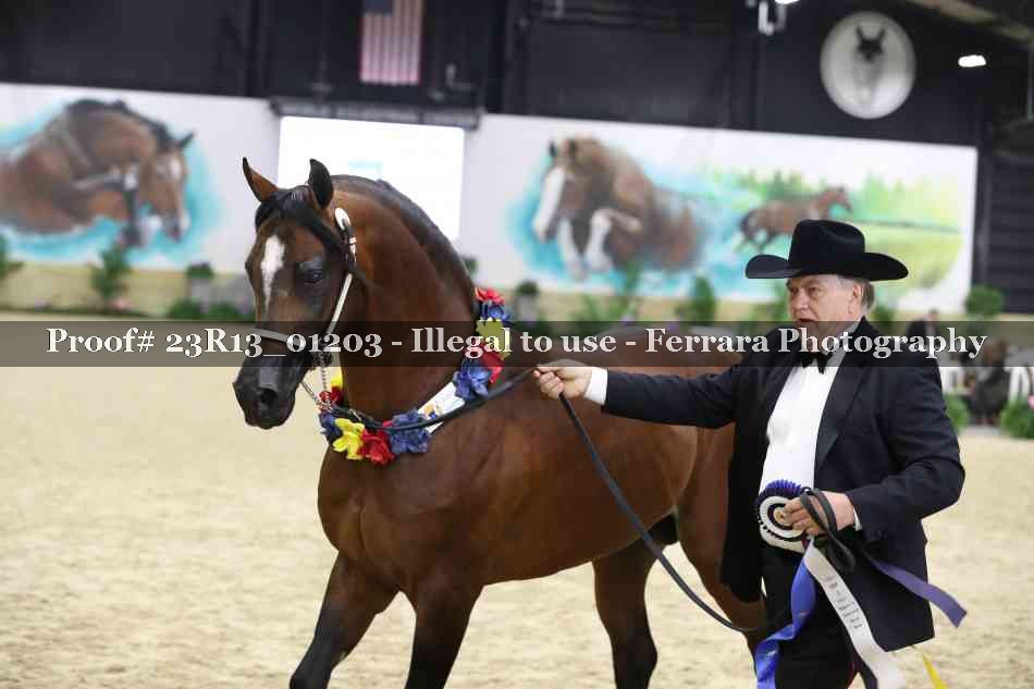 Proof Number 23R13_01203