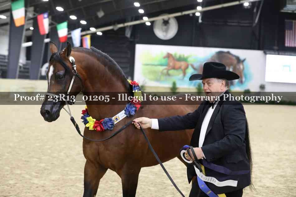 Proof Number 23R13_01205