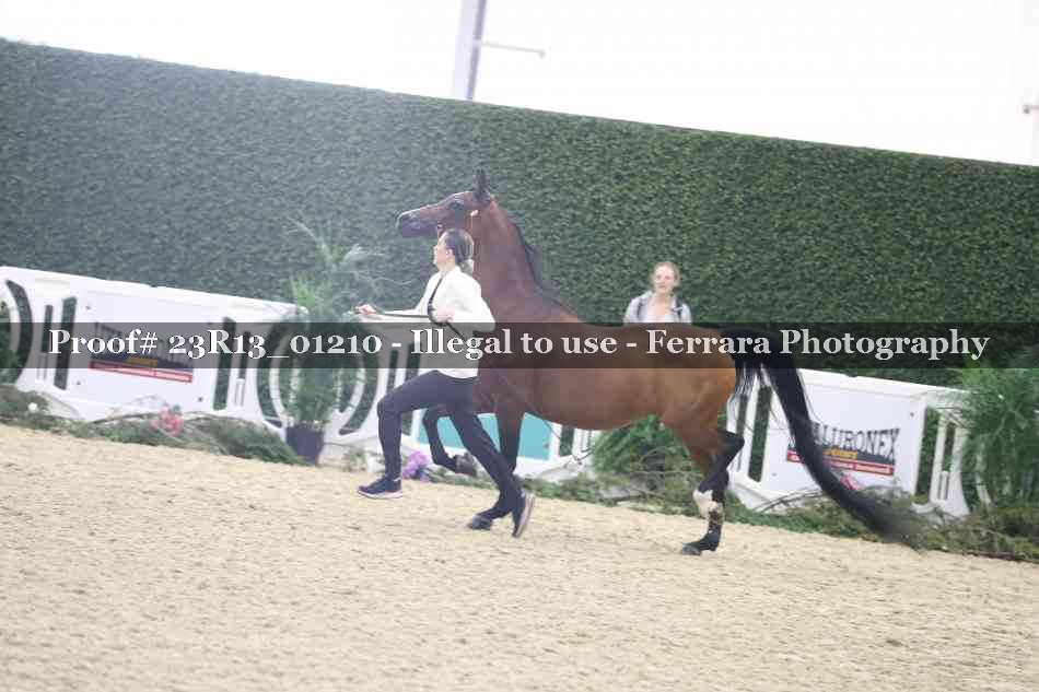 Proof Number 23R13_01210
