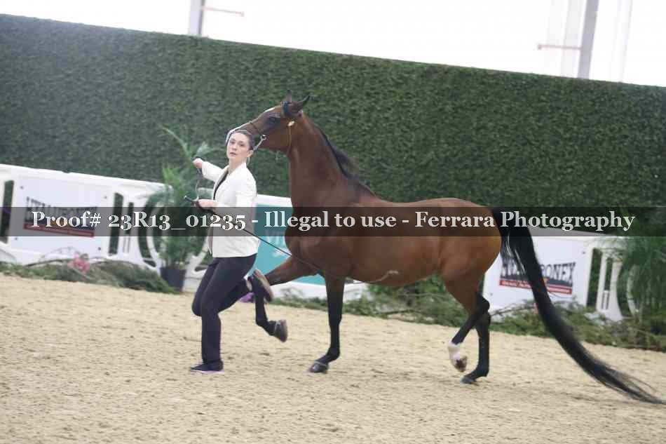 Proof Number 23R13_01235
