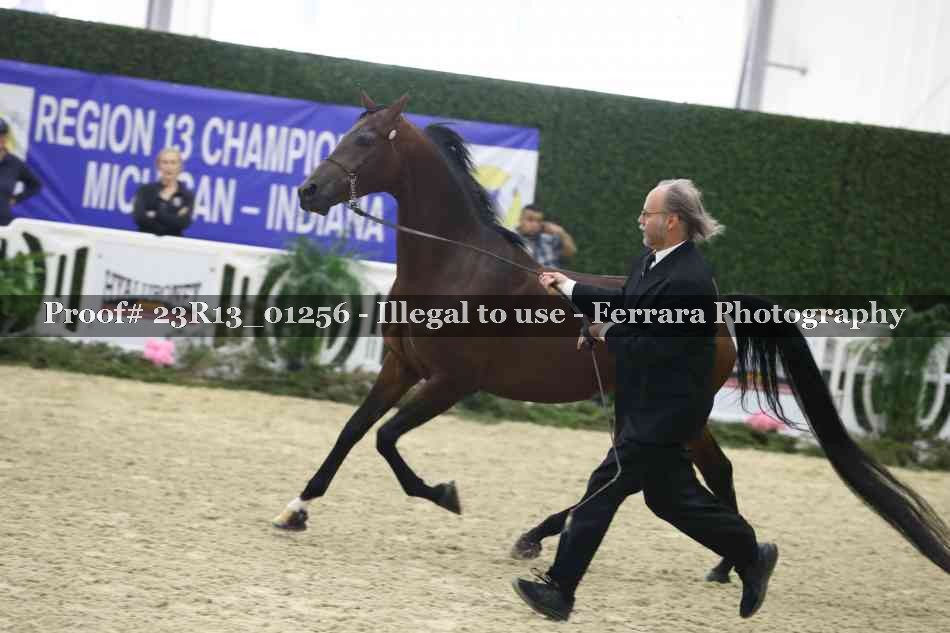 Proof Number 23R13_01256