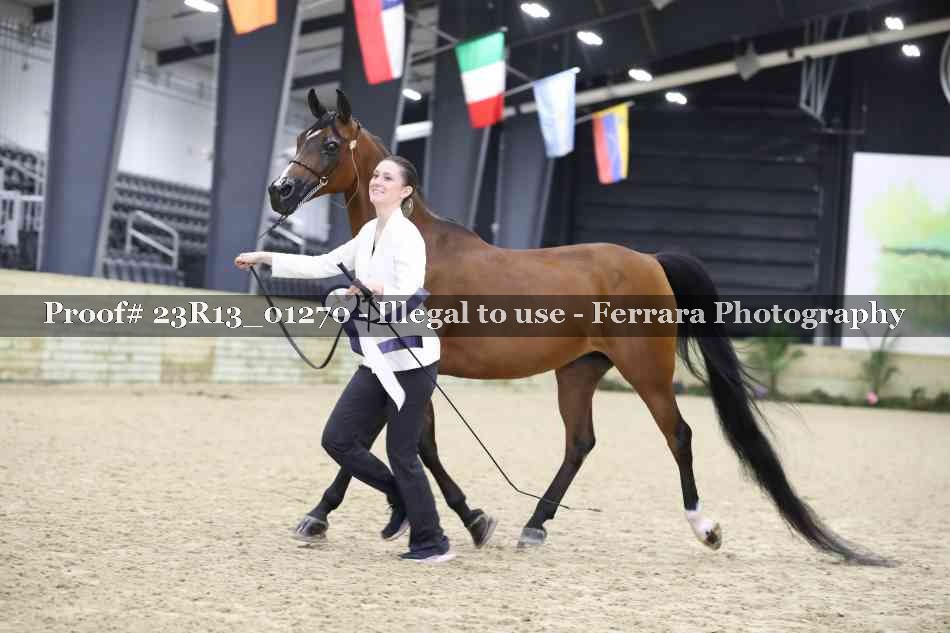 Proof Number 23R13_01270