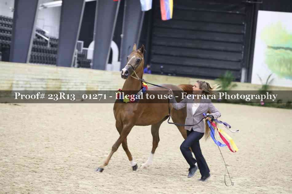 Proof Number 23R13_01271