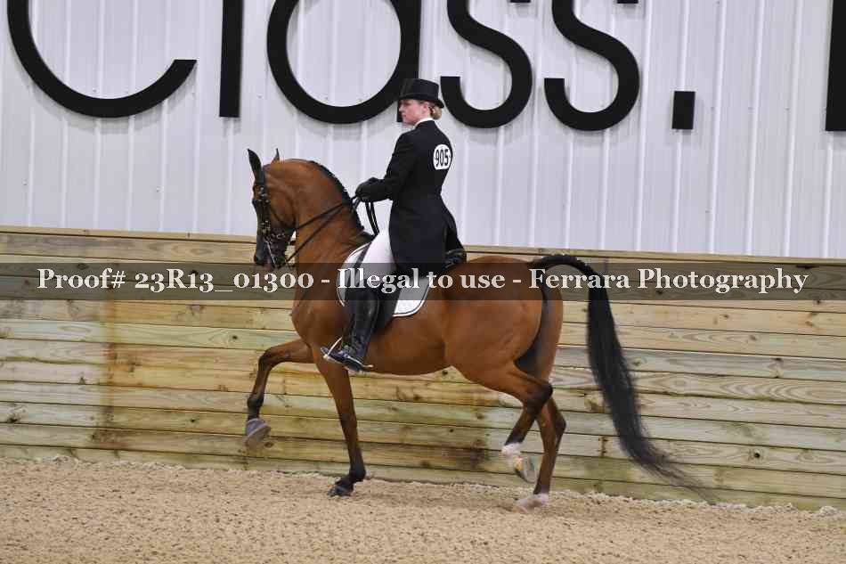 Proof Number 23R13_01300