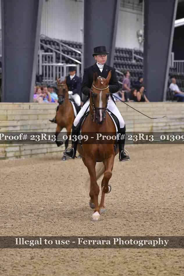 Proof Number 23R13_01309
