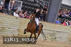 23R13_01315 thumbnail