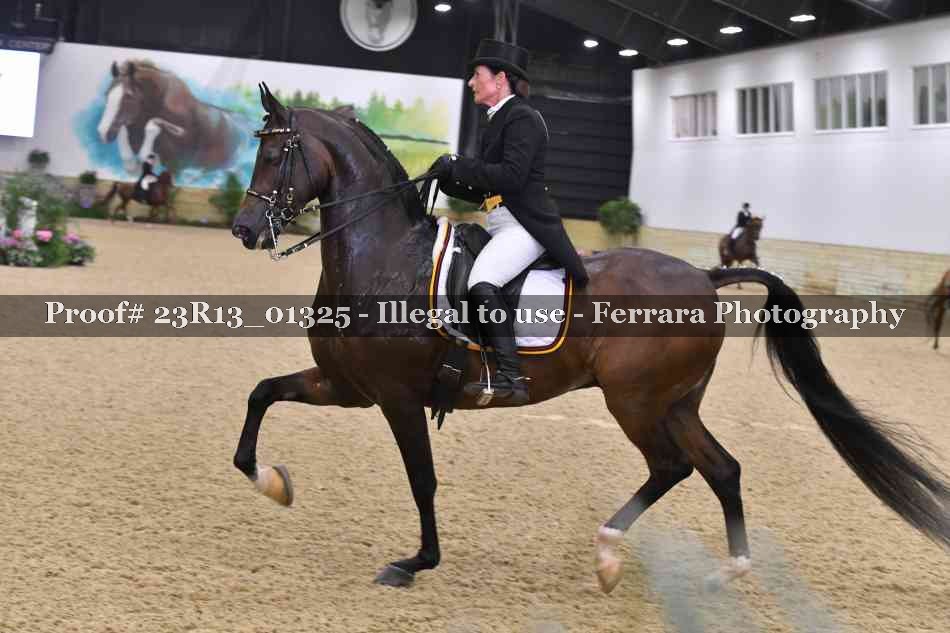 Proof Number 23R13_01325