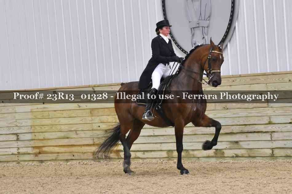 Proof Number 23R13_01328