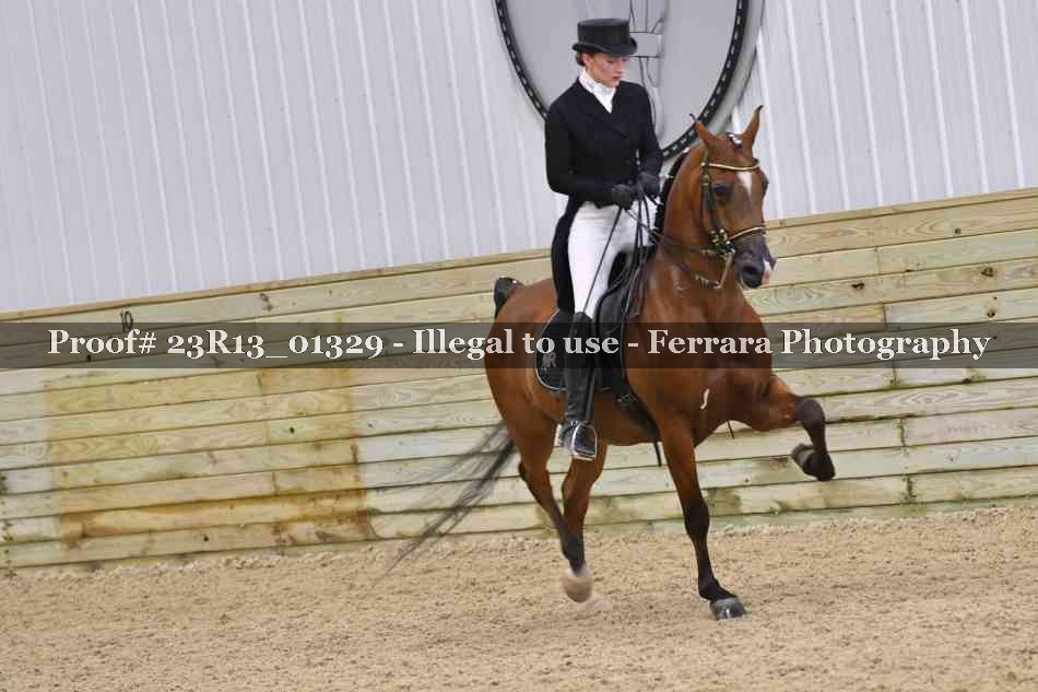 Proof Number 23R13_01329