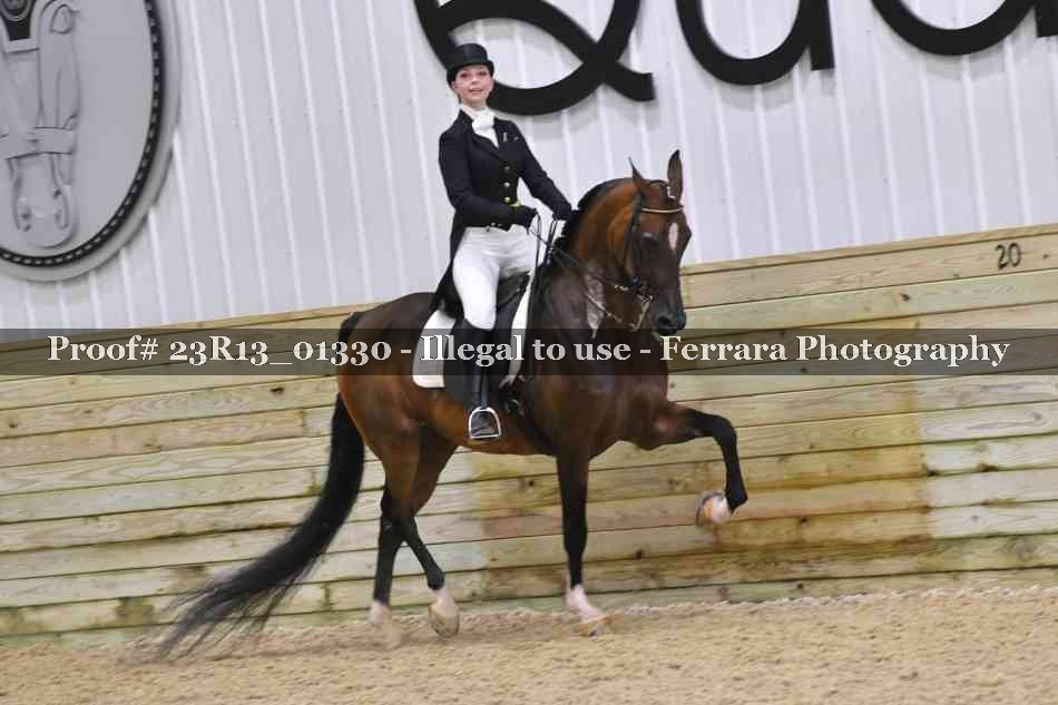 Proof Number 23R13_01330