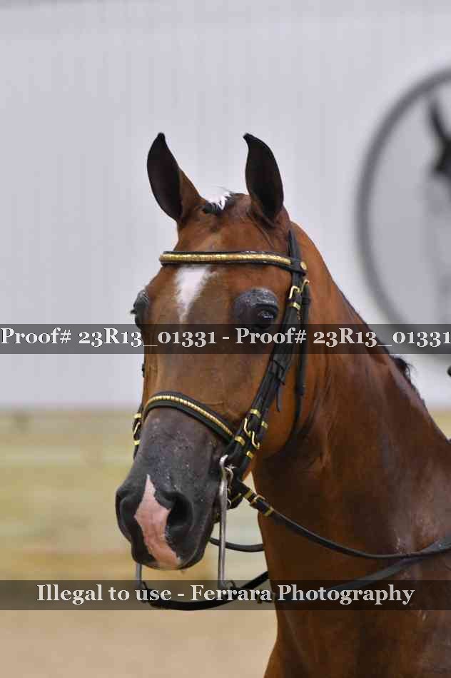 Proof Number 23R13_01331