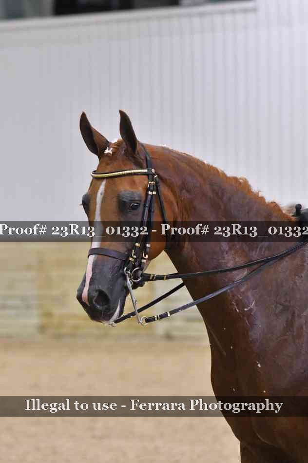 Proof Number 23R13_01332