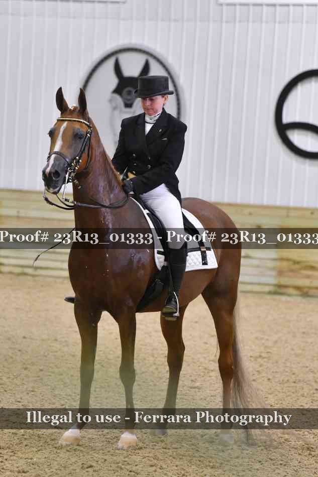 Proof Number 23R13_01333