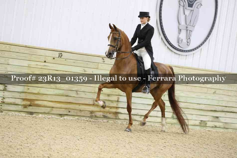 Proof Number 23R13_01359