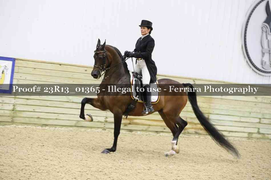 Proof Number 23R13_01365