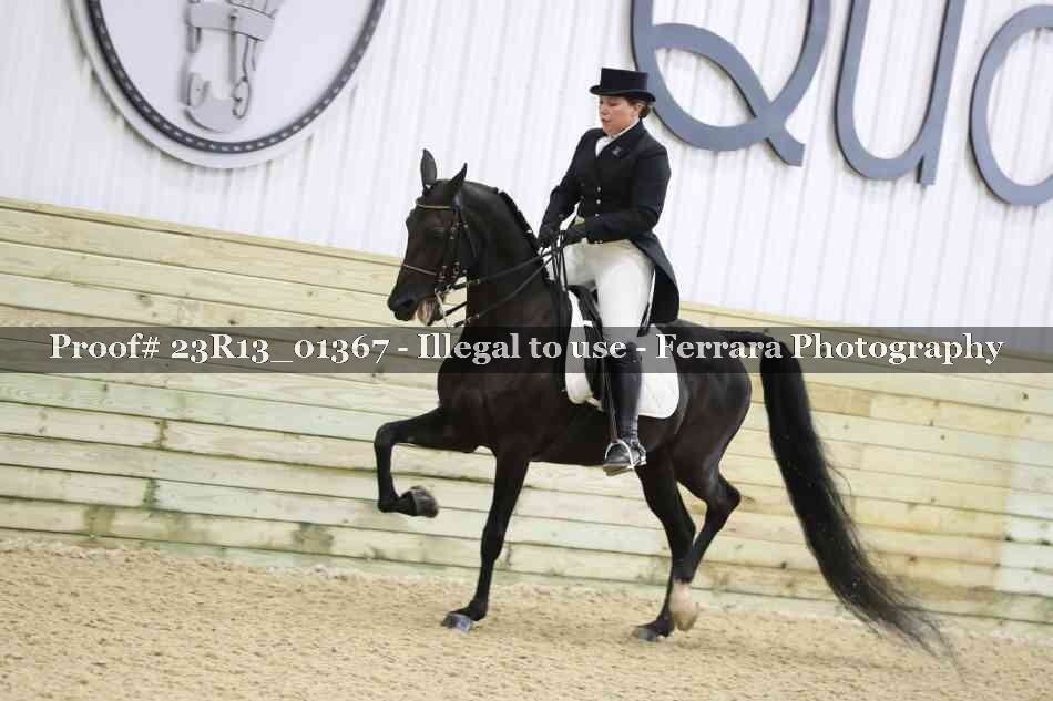 Proof Number 23R13_01367