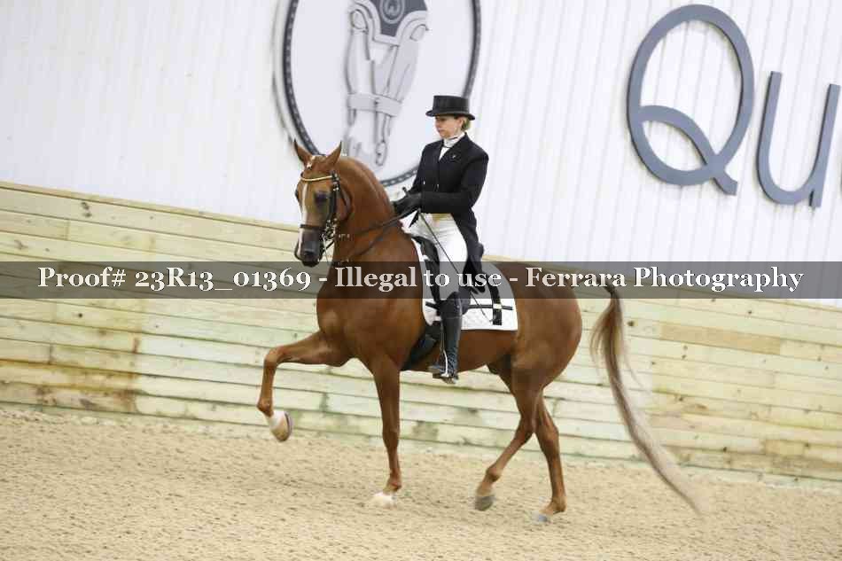 Proof Number 23R13_01369