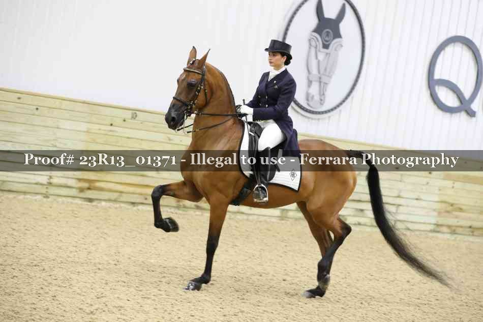 Proof Number 23R13_01371