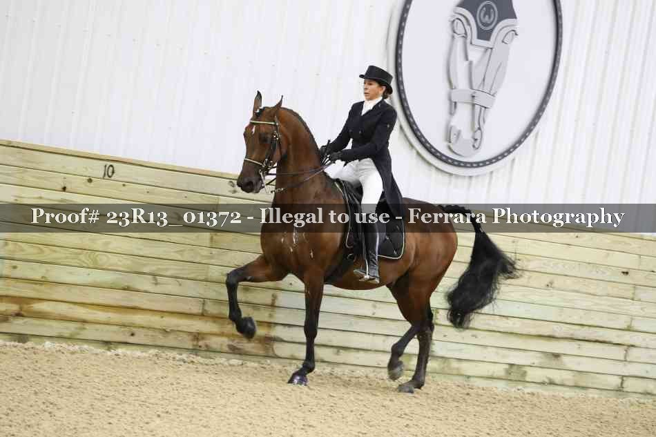 Proof Number 23R13_01372