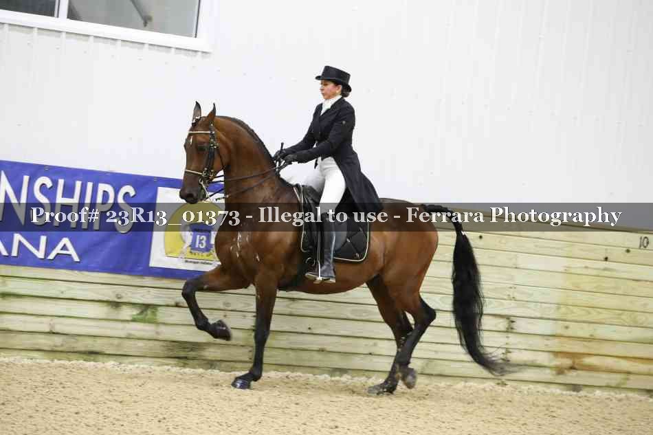 Proof Number 23R13_01373
