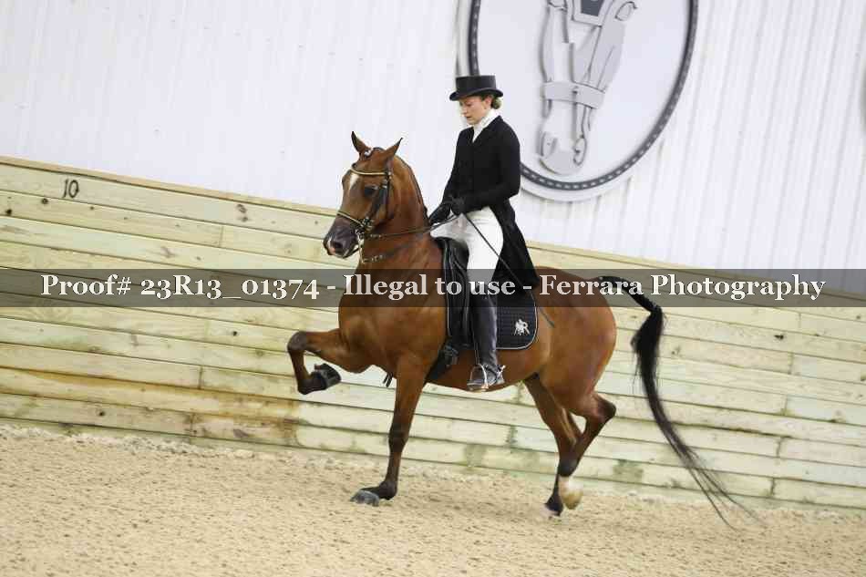 Proof Number 23R13_01374
