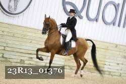 23R13_01376 thumbnail