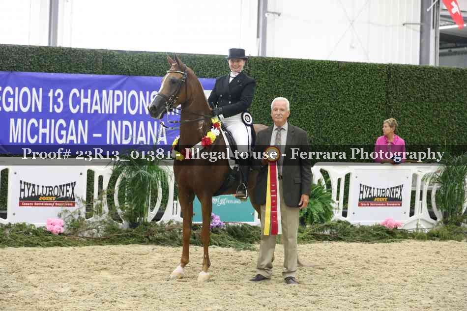 Proof Number 23R13_01381