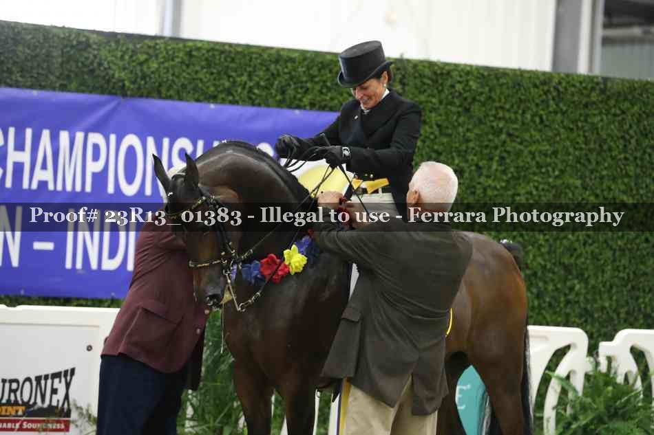 Proof Number 23R13_01383