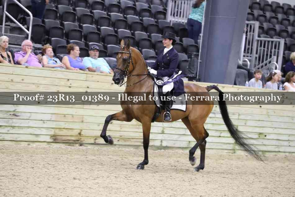 Proof Number 23R13_01389