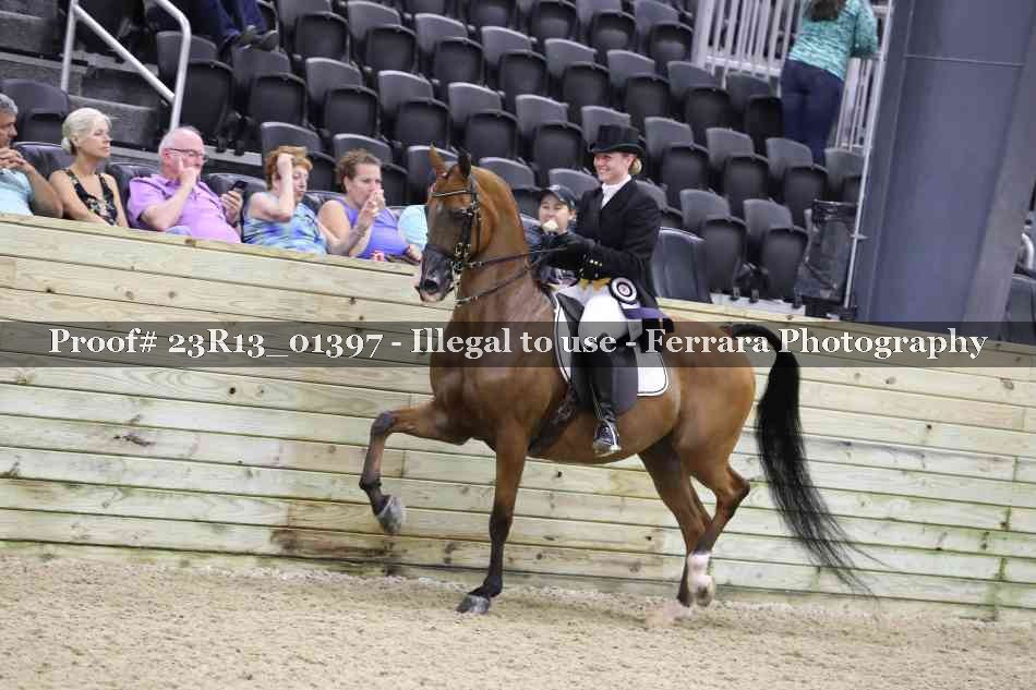Proof Number 23R13_01397