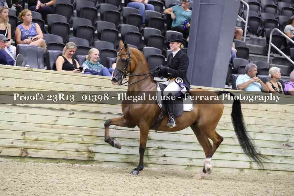 Proof Number 23R13_01398