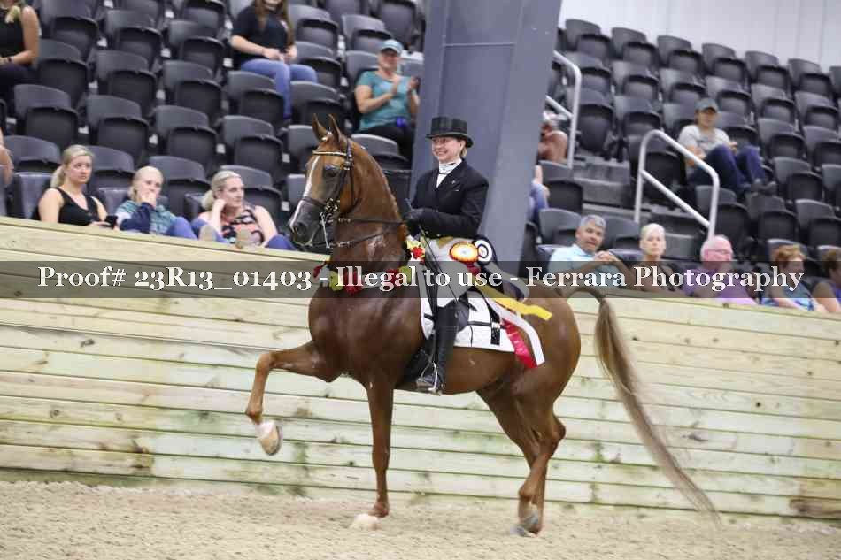 Proof Number 23R13_01403