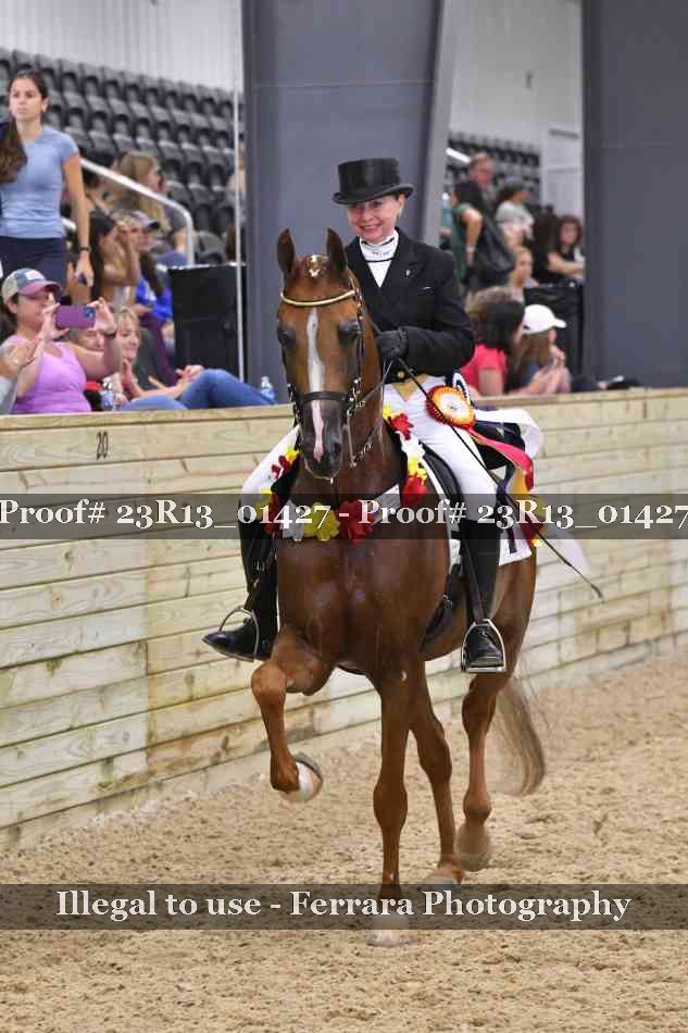 Proof Number 23R13_01427