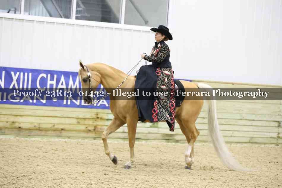 Proof Number 23R13_01432