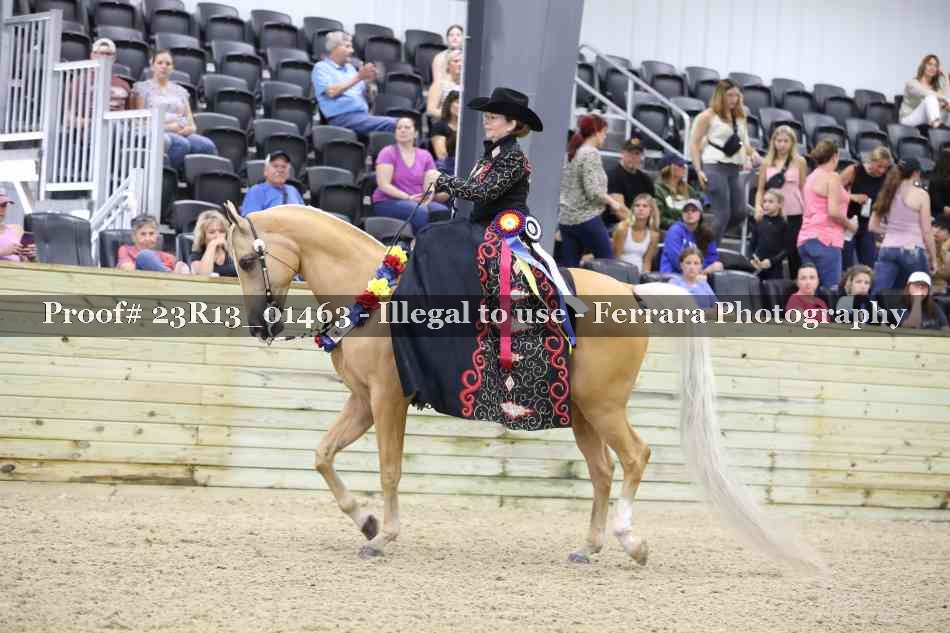Proof Number 23R13_01463