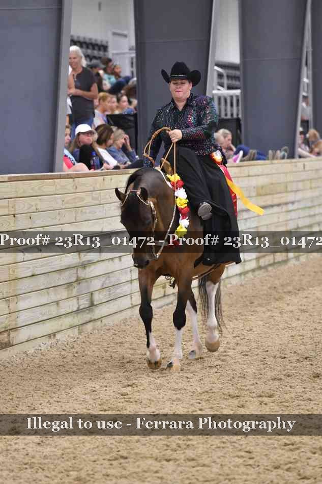 Proof Number 23R13_01472