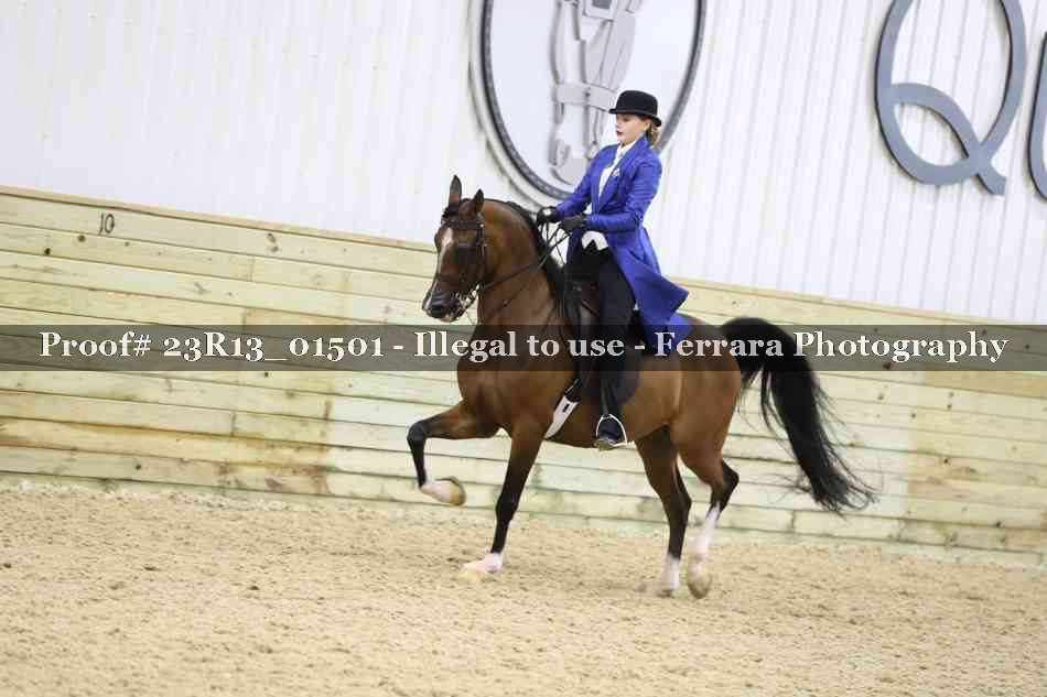 Proof Number 23R13_01501