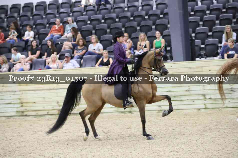 Proof Number 23R13_01507
