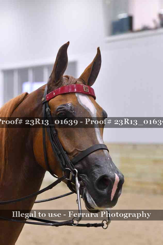 Proof Number 23R13_01639