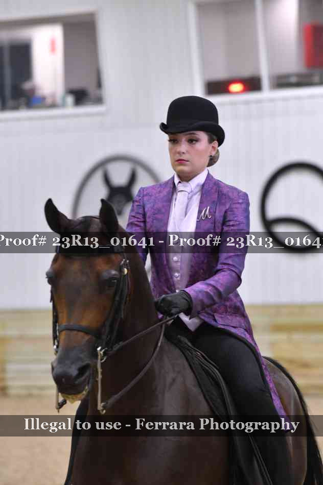 Proof Number 23R13_01641