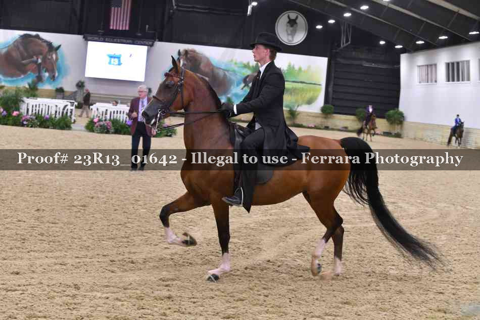 Proof Number 23R13_01642