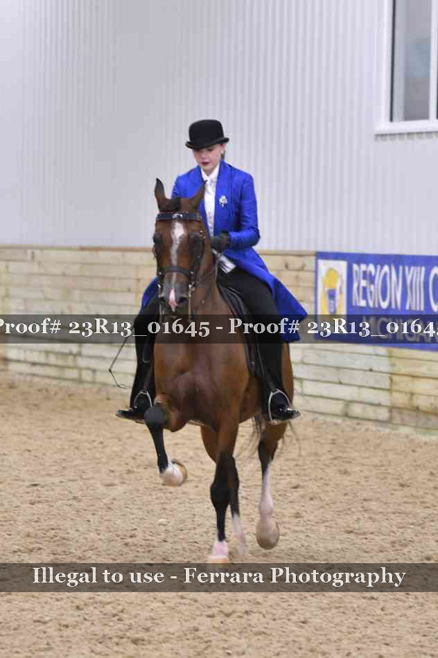 Proof Number 23R13_01645