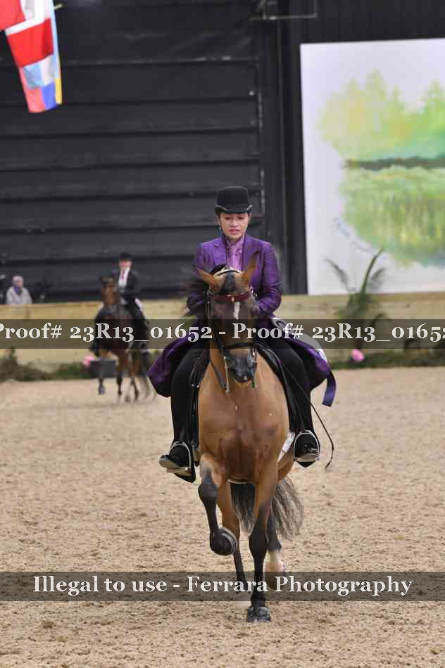 Proof Number 23R13_01652