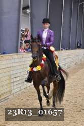 23R13_01657 thumbnail