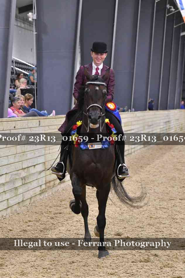 Proof Number 23R13_01659