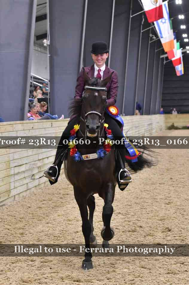 Proof Number 23R13_01660
