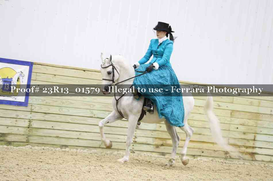 Proof Number 23R13_01579