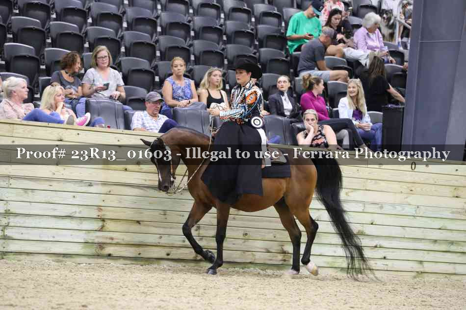 Proof Number 23R13_01603