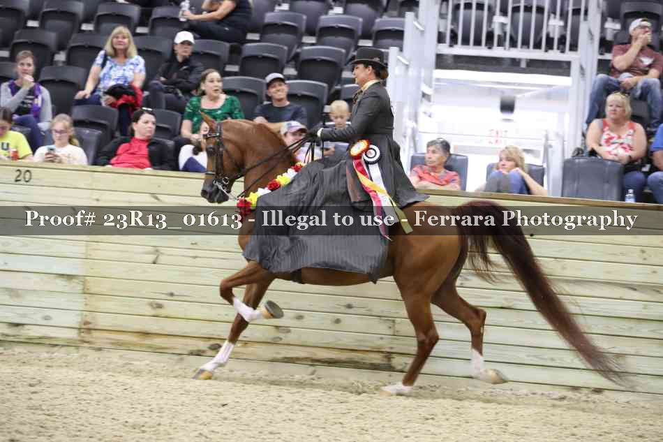 Proof Number 23R13_01613