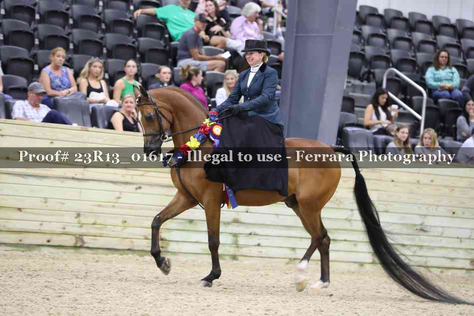 Proof Number 23R13_01617